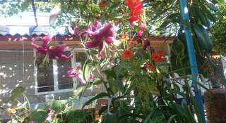 Гостевой дом Inn Tsimlyanskaya 1 Севастополь-4